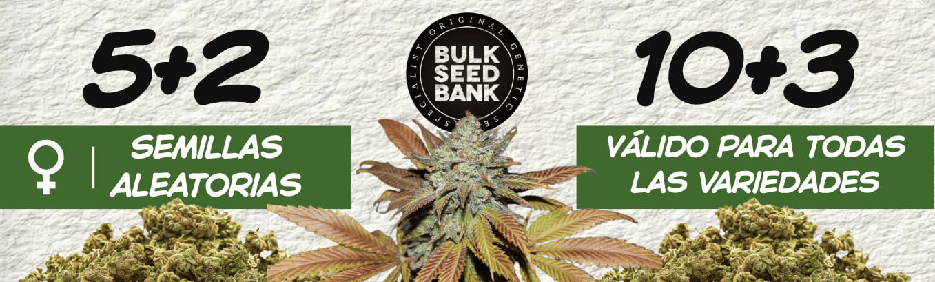 Bulk seeds free seed promo Bulk seeds free seed promo